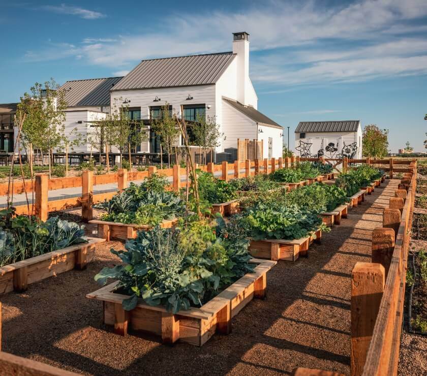 A community garden located in Kinston