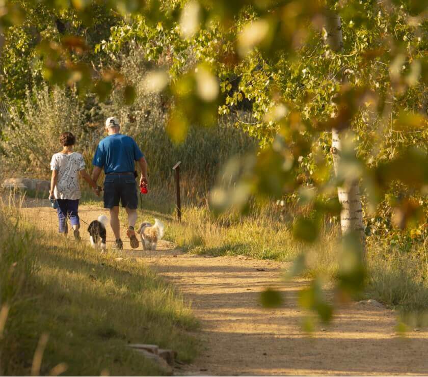 A couple and their dogs enjoy walking a trail in Centerra.
