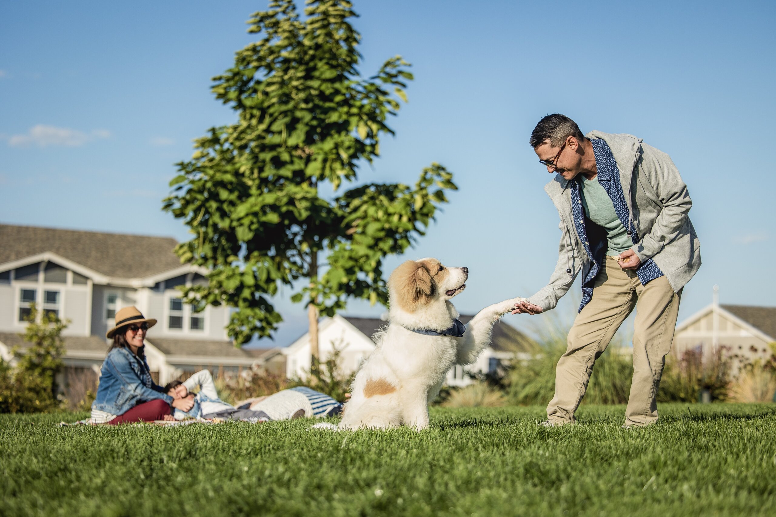 Family and their dog hanging out on a lawn with homes in the background