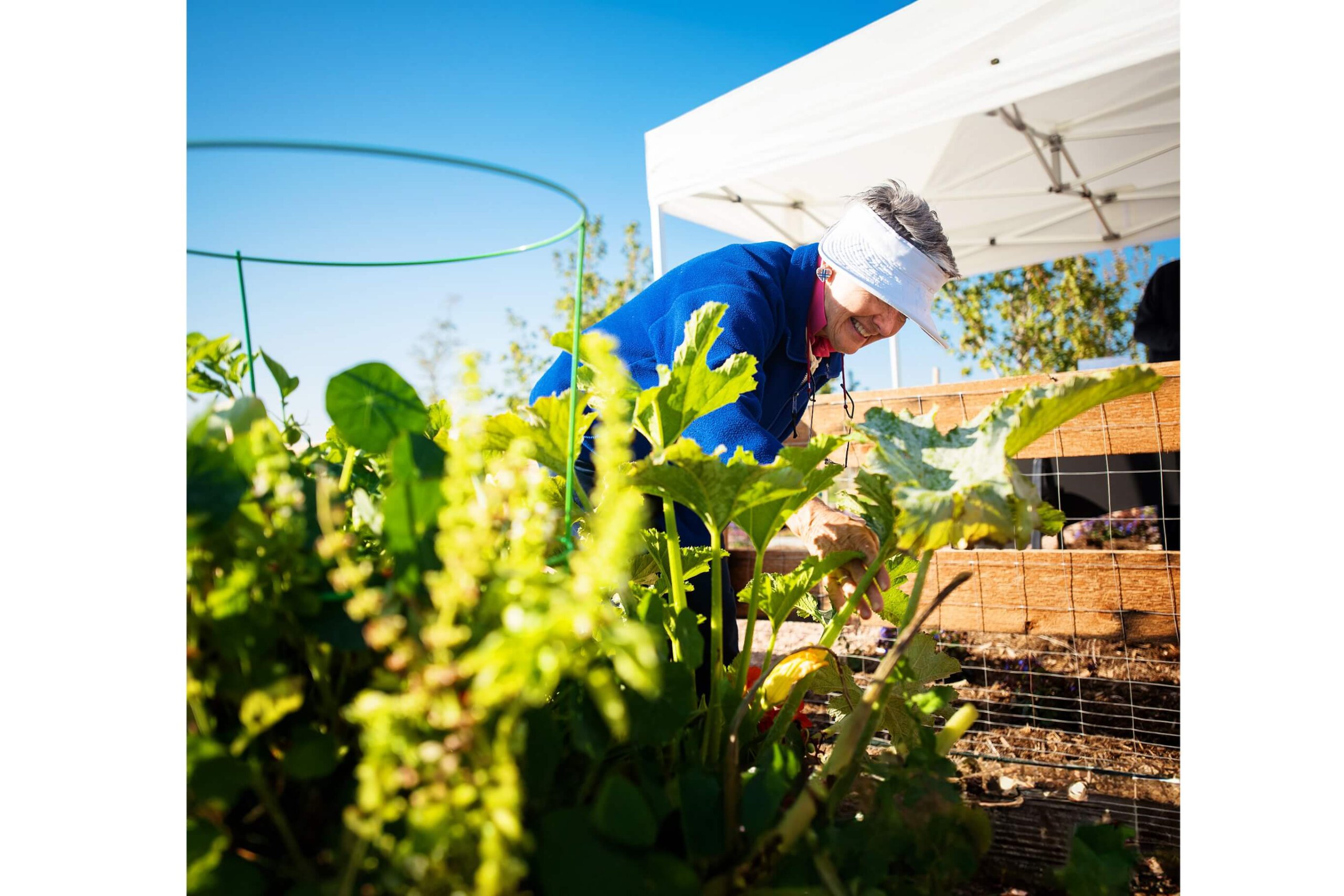 A woman tending to a garden