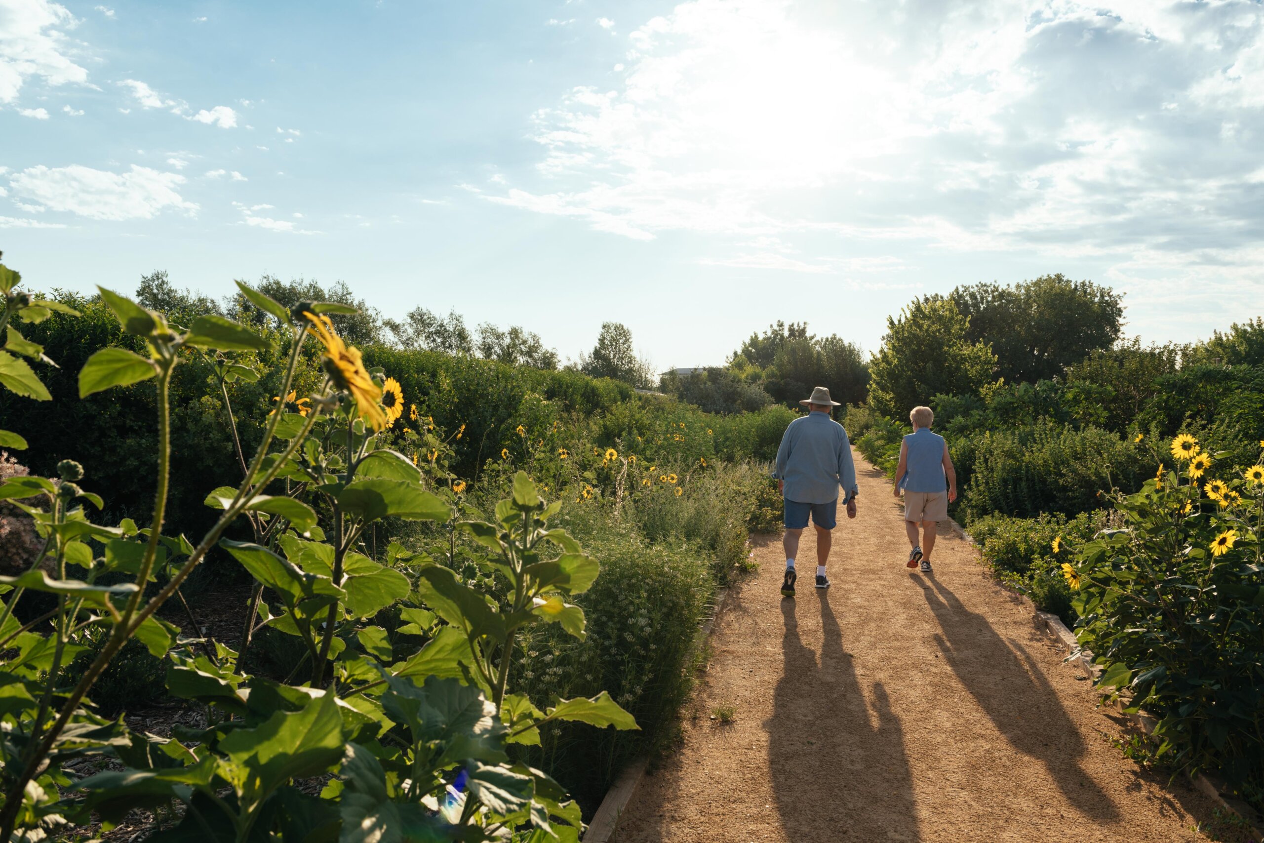 couple walking in nature