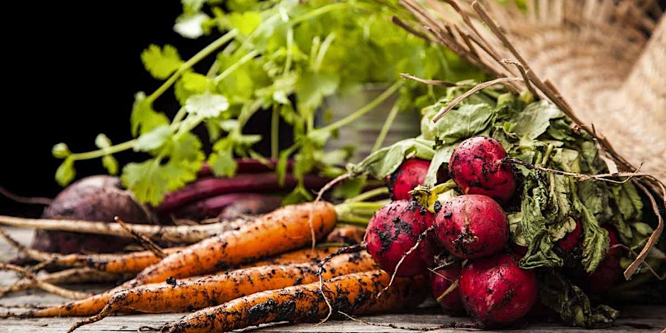 vegetables from the garden