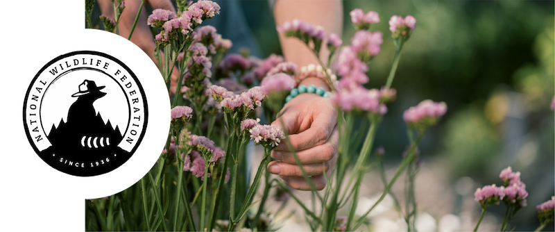 A person is shown tending to pink flowers in a garden located in Centerra, Loveland Colorado. The logo of the National Wildlife Federation is visible on the left side of the image.